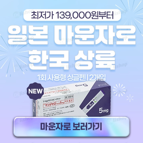 팝업 이미지